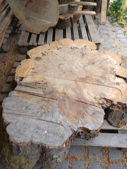 Suché koláče z Habra a Buka - 9