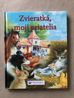 Medzi nami dievčatami, Božena Němcová: Babička, Goofy - 9