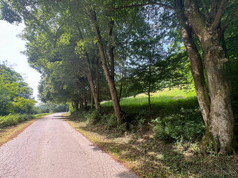 2108 m2 | Stavebný pozemok Trenčín, OPATOVÁ, les, potok - 9