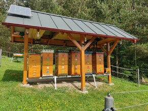 Domáci včelí med z Turčianskej záhradky - 9