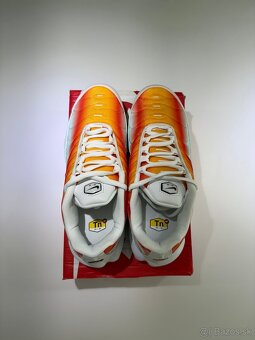 Nike Air Max Plus - Tropical Sunset - 9