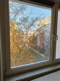 1.5 Izbový byt, Poprad - Západ na prenájom od 1.8. - 9