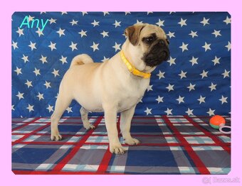MOPS s PP. - 9