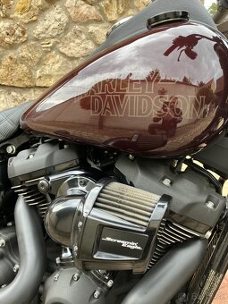 Harley davidson low rider s STAGE II 94 kw - 9