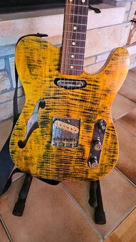 Fender Custom No.1 Exotic Line Aztec Spirit s kufrom - 9