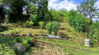 Záhrada s LV v Jelšovom-PB - 9