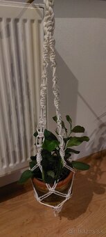 Lampaš a mix vecičky - 9