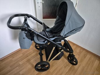 Kočík Roan iVI - 9