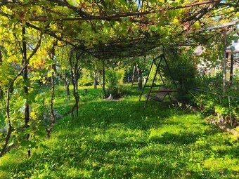 Chalupa so zahradou - 9