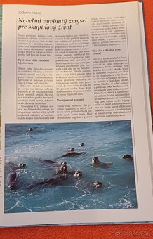 Morský breh-prírodovedná publikácia,Larousse,100% stav% - 9