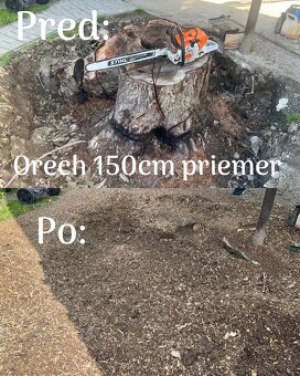 Frézovanie pňov - rýchle a ekologické odstránenie pňov - 9
