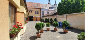 Amnis Student House-Studio28-Len pre 1 študentku-OBSADENÉ - 9