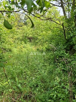 Na predaj: záhrada v atraktívnej lokalite Nové Mesto nad Váh - 9