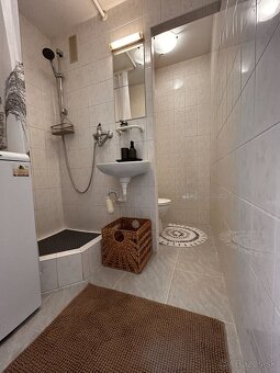 PET friendly útulná garsónka - 9