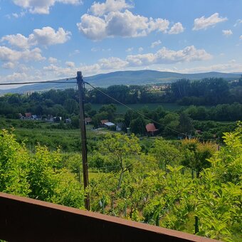 Predám domček zo záhradou a vinicou, chatka, hajlok - 9