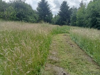 Mulčovanie, Kosenie,Frézovanie pozemkov. - 9