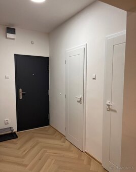 Na prenájom 2i. PET Friendly byt s parkovaním v Starom Meste - 9