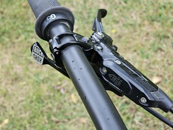 Canyon Torque CF9 - 9