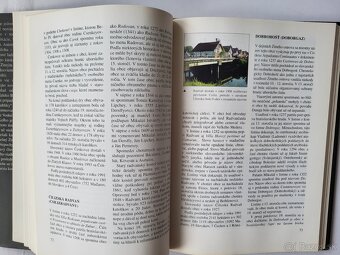 Srdce Žitného ostrova - okres Dunajská Streda - 9