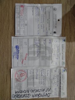 Slovenská biela hus - 9