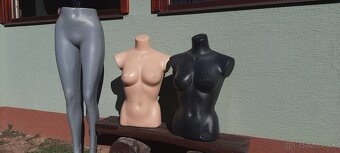 Predám obchodné figuríny, busty - 9