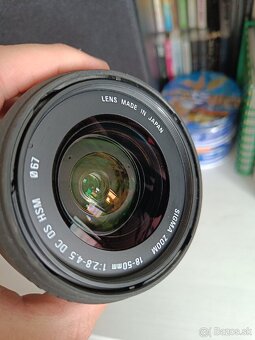 Canon EOS 250D + Sigma 18-50mm f2.8-4.5 OS HSM - 9