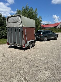 Prepravnik na kone - 9