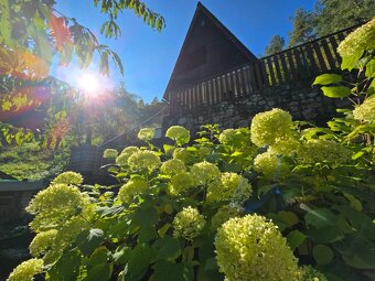Chata v nádhernom prostredí - Kubrá - 9