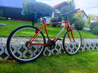 Horský bike Vector - 9
