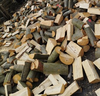 Palivové drevo - 9