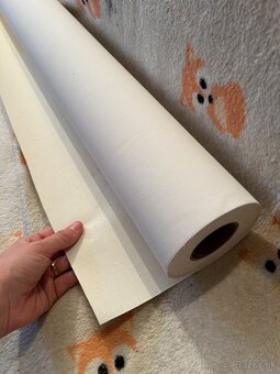 HP designe JET 800 - 9