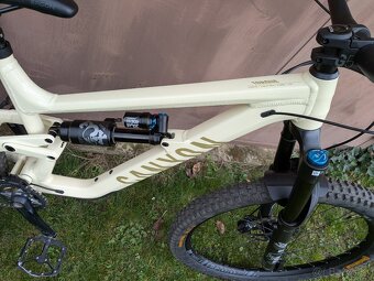 Canyon Torque Mullet AL - 9