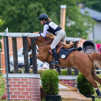 Sportovní pony klisna - 9