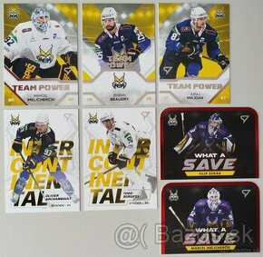 Hokejové kartičky TIPOS EXTRALIGA 25/26 HK SPIŠSKÁ NOVÁ VES - 9