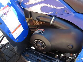 Polaris Trailblazer . - 9
