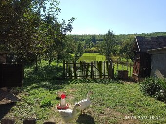 CHALUPA/DOM S VEĽKÝM POZEMKOM – SZALASZEND (40 MIN. OD KE) - 9