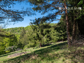 IBA U NÁS Pozemok na samote v lese - Lazy pod Makytou - 9