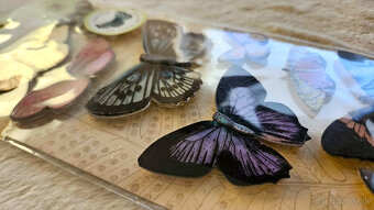 priestorové (3D) nálepky Motýľ, 2 balenia - 9