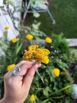 🌻Kytička sušených žltých slameničiek - 9