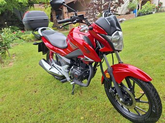 HONDA CB 125 F - 9