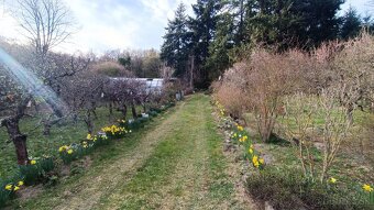 Predám chatu v Harmónii s krásnym výhľadom - 9