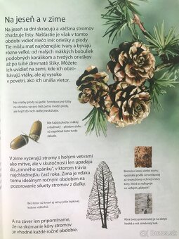 Náuka o hudobných nástrojoch, Silmarillion Tolkien, Nosov - 9