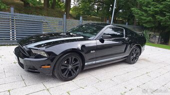 Ford Mustang 5.0 GT/CS CALIFORNIA SPECJAL 2014 automat - 9
