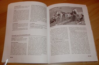 Severské plemená psov - 9