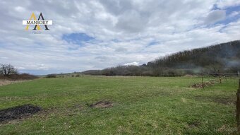 Na predaj 3 izbový rodinný dom na pozemku 2 138 m2 za 60 000 - 9