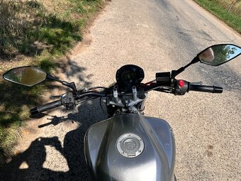Yamaha FZ6n - 25kw v TP - 9