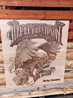 Obrazy-ručná práca - 9