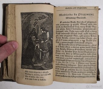 Stepná zahradka 1850 - 9