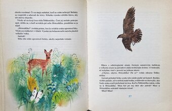 Rudo Moric - Parožtekovci - 9