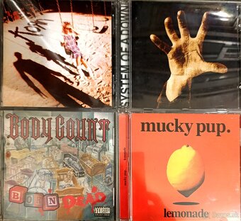 Cd metal l - 9
